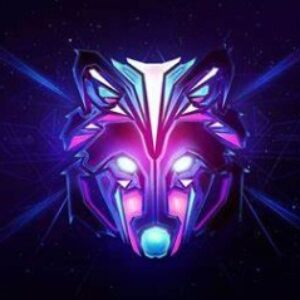 Profilbild von Amogh